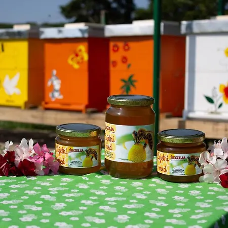 Affittacamere Segulja Malinska