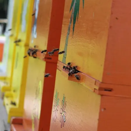 Segulja 马林斯卡