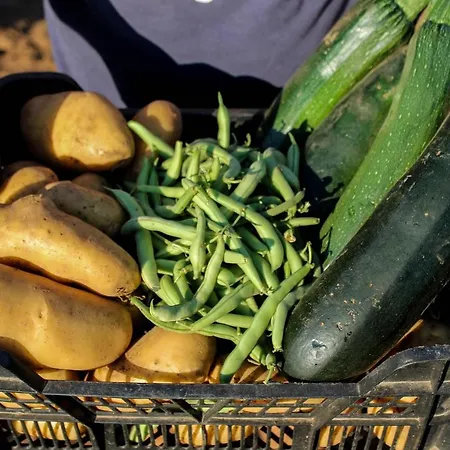 Segulja Penzion Malinska