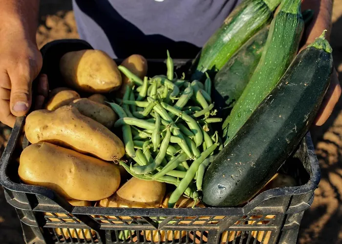 Segulja Pensión Malinska