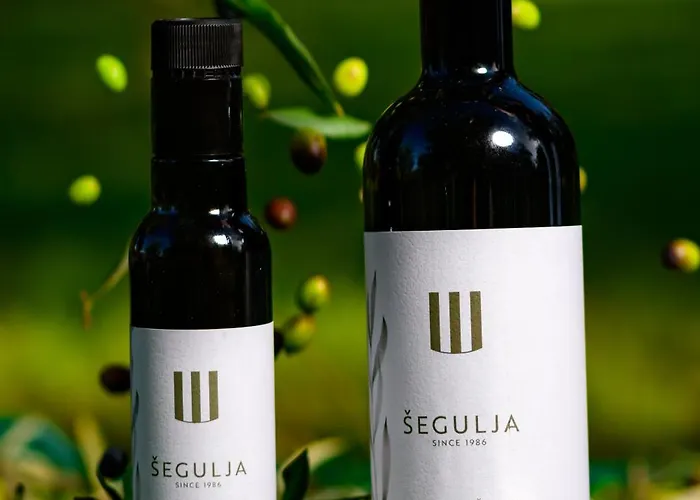 Segulja Πανσιόν 4*